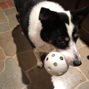 Meet your Posher, Barb